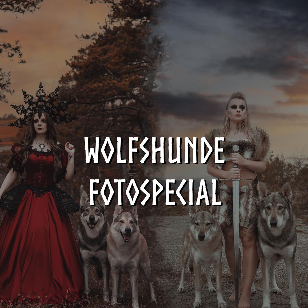 Wolfshunde Fotospecial