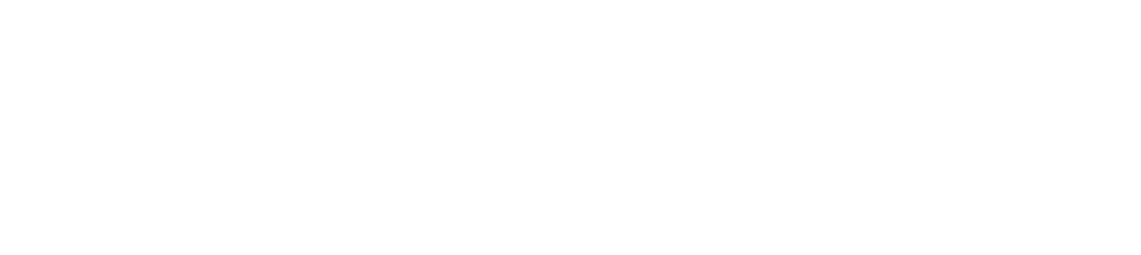 Savannah Nixon Photography Logo